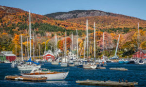 Autumn Sailing Camden Maine